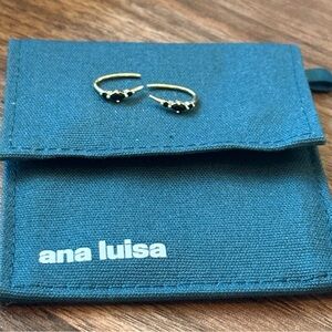 Ana Luisa Gold and Black Hook Earrings Waterproof Hypoallergenic